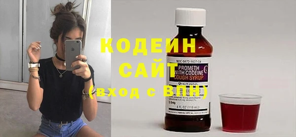 крисы Няндома