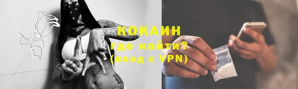 крисы Няндома