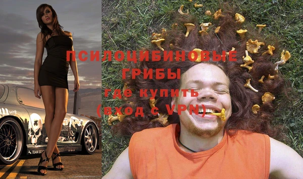 дживик Осташков