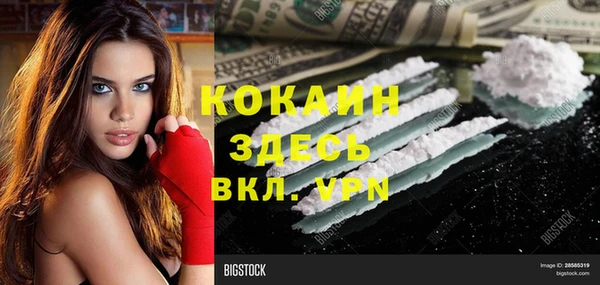 дживик Осташков