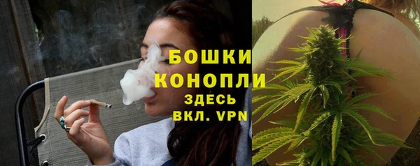 дживик Осташков